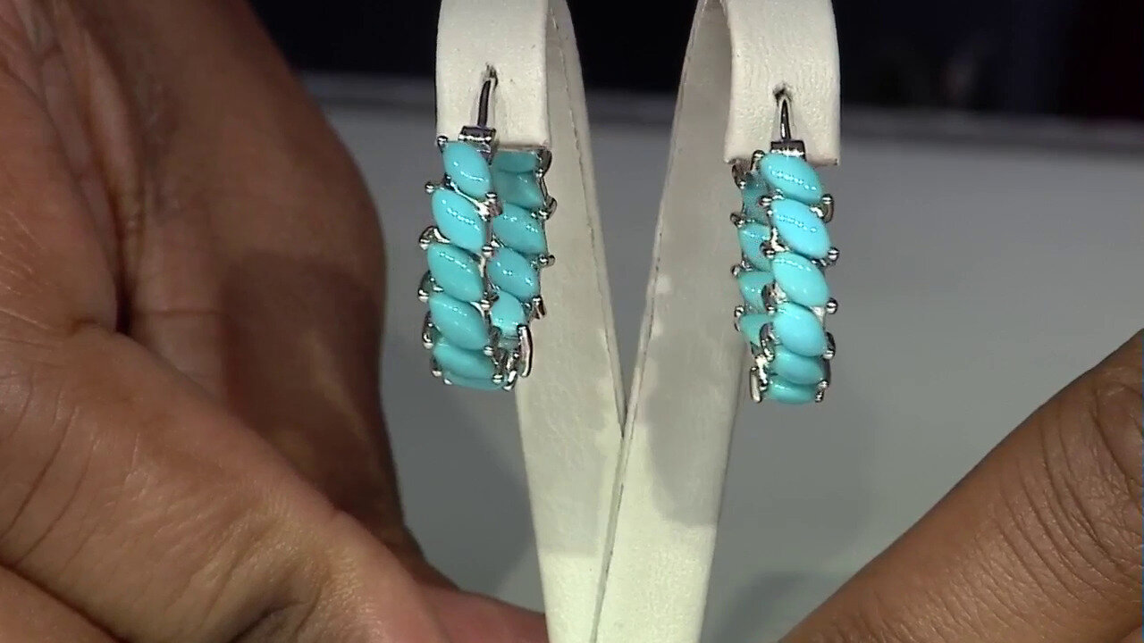 Video Sleeping Beauty Turquoise Silver Earrings