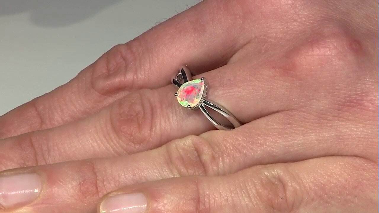 Laatste live aanbiedingen bekijken