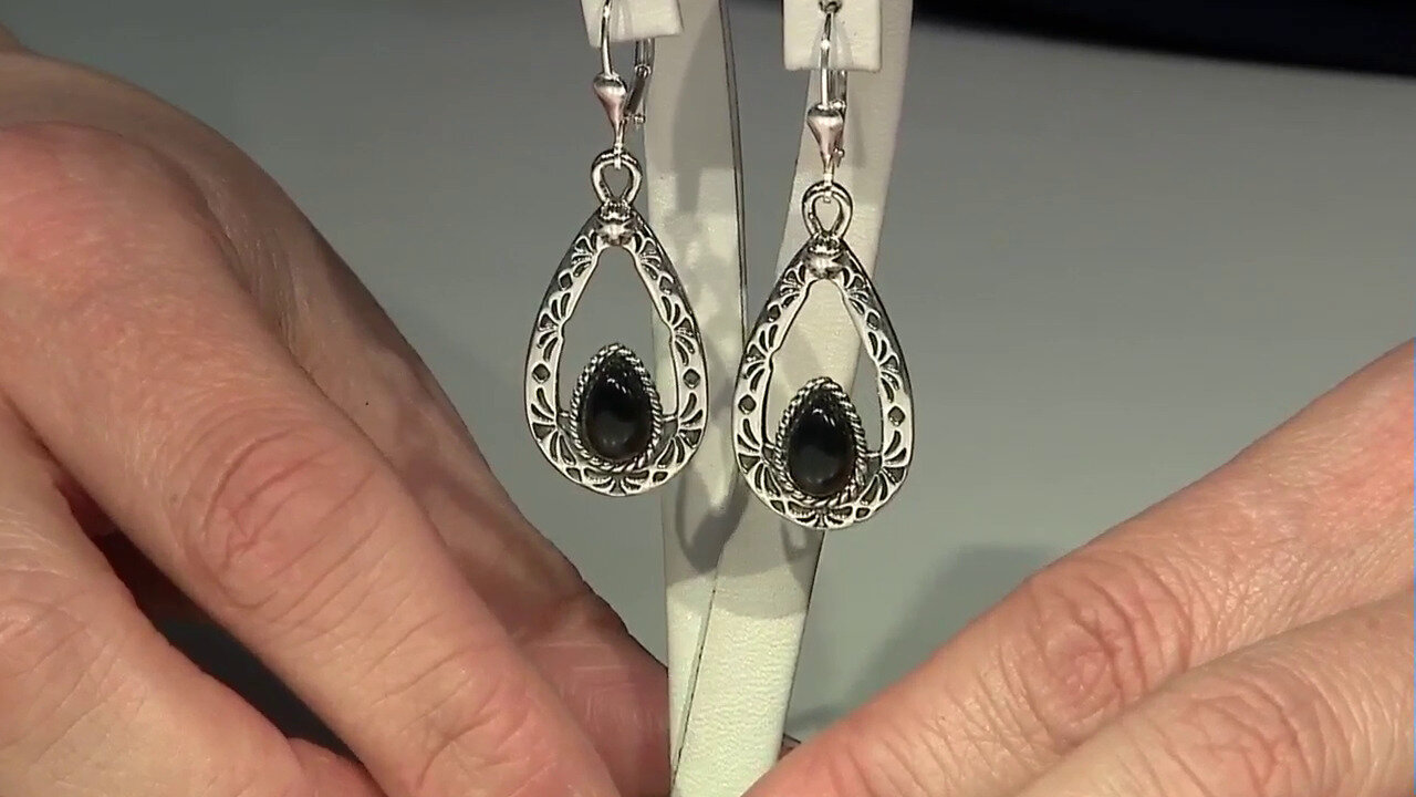 Video Black Onyx Silver Earrings (Desert Chic)