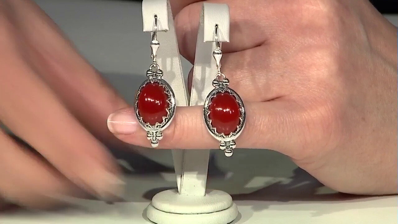 Video Red Onyx Silver Earrings (Desert Chic)