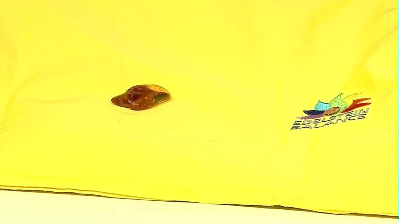 Video Accessorio con Ambra Baltica (Lapis Vitalis)