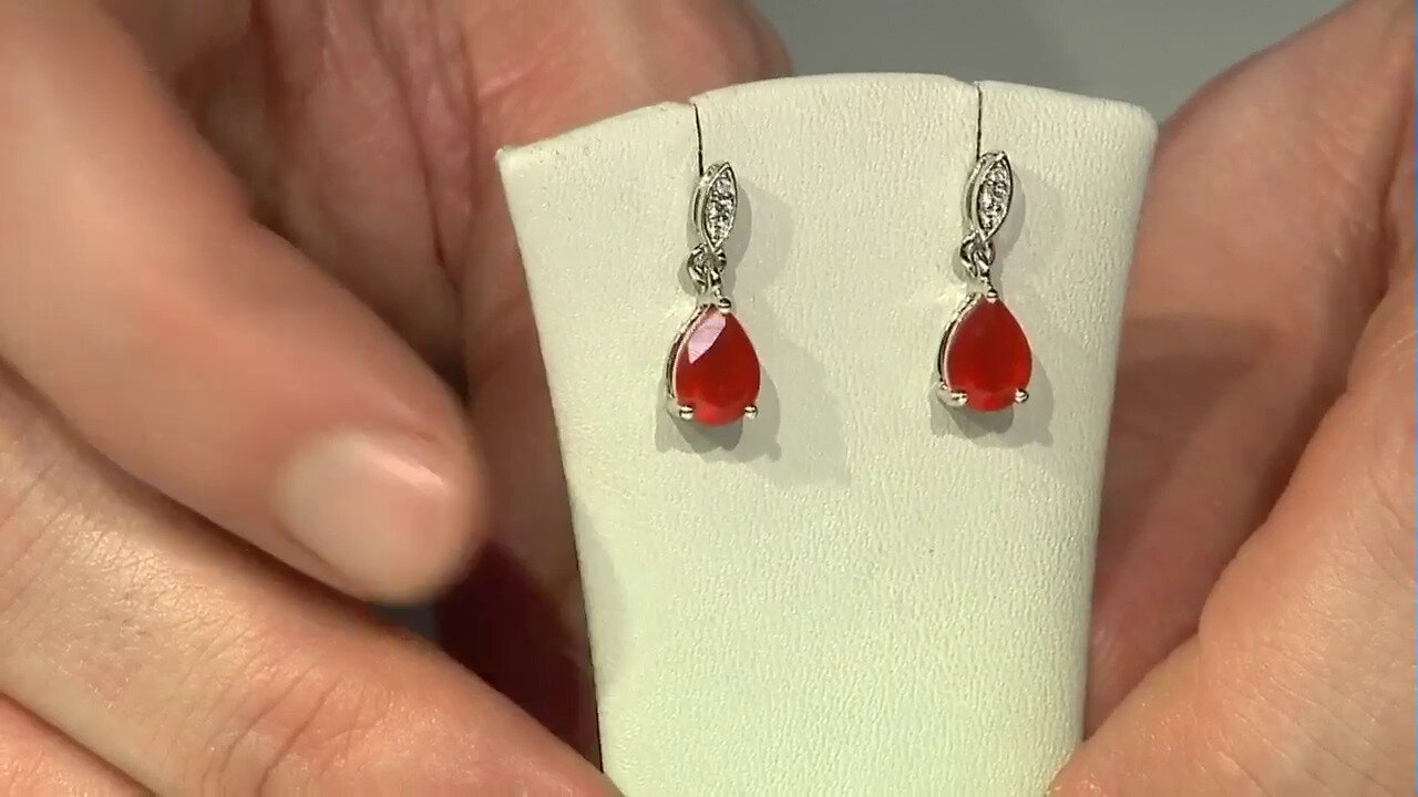 Video Red Onyx Silver Earrings