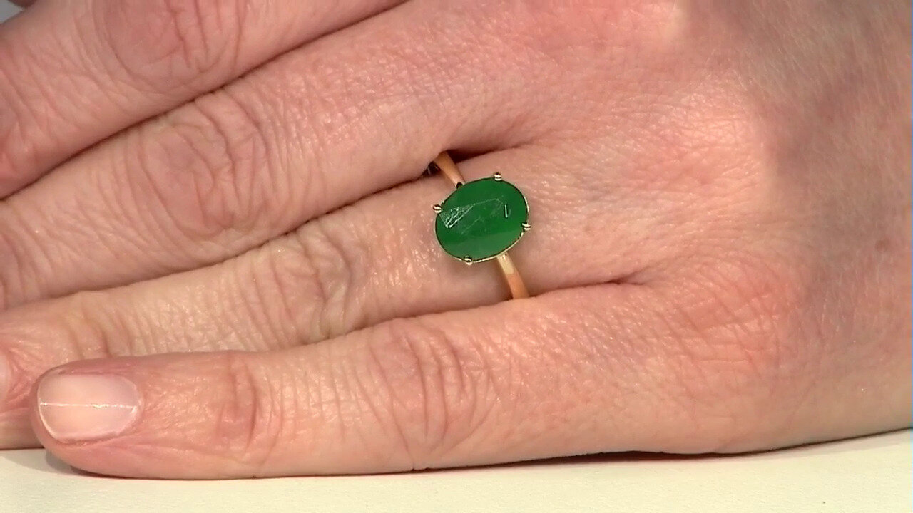 Letzte TV-Show ansehen