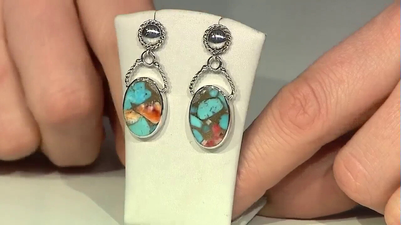 Video Multi Gem Silver Earrings