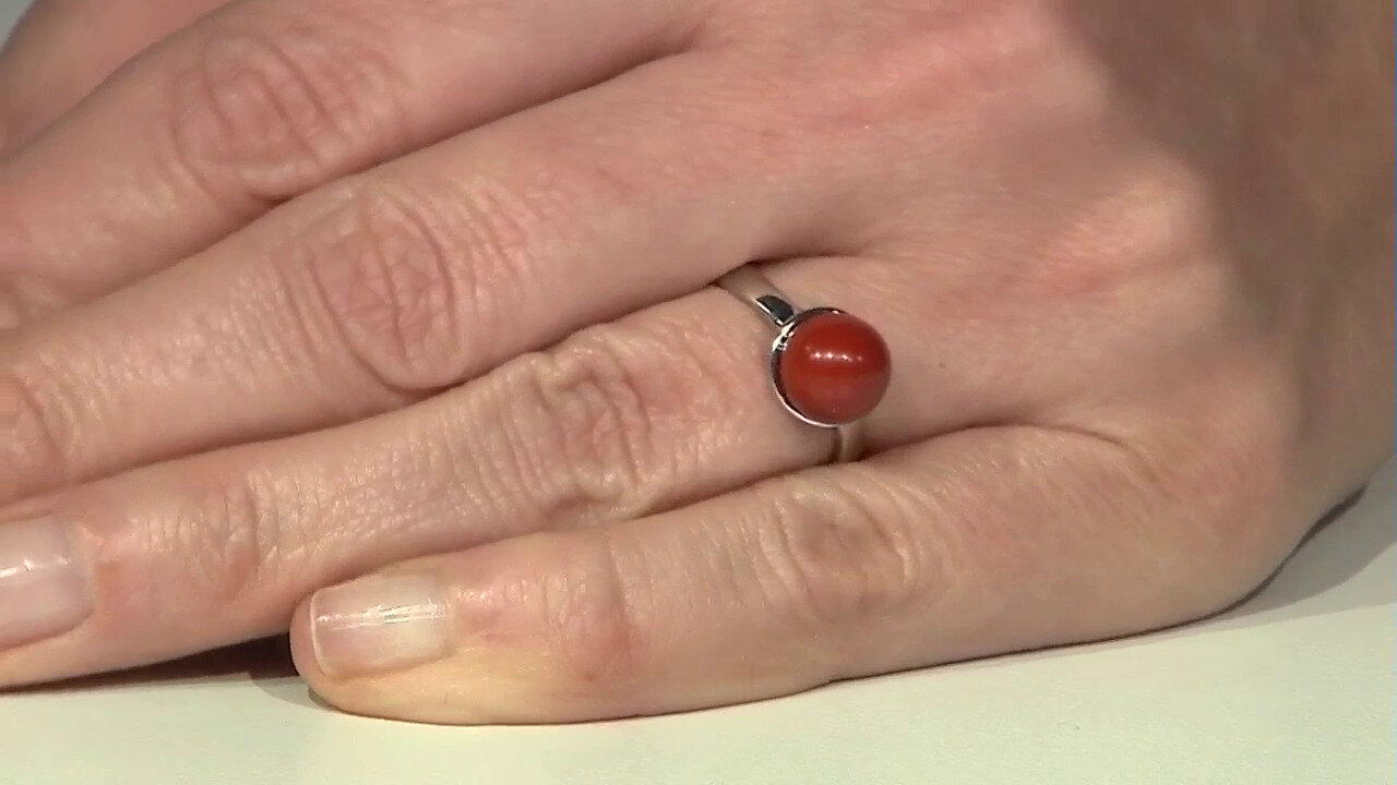 Letzte TV-Show ansehen