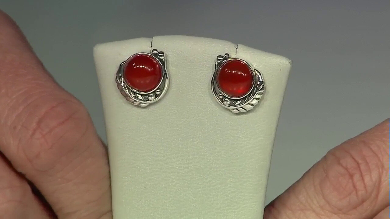 Video Red Onyx Silver Earrings (Desert Chic)