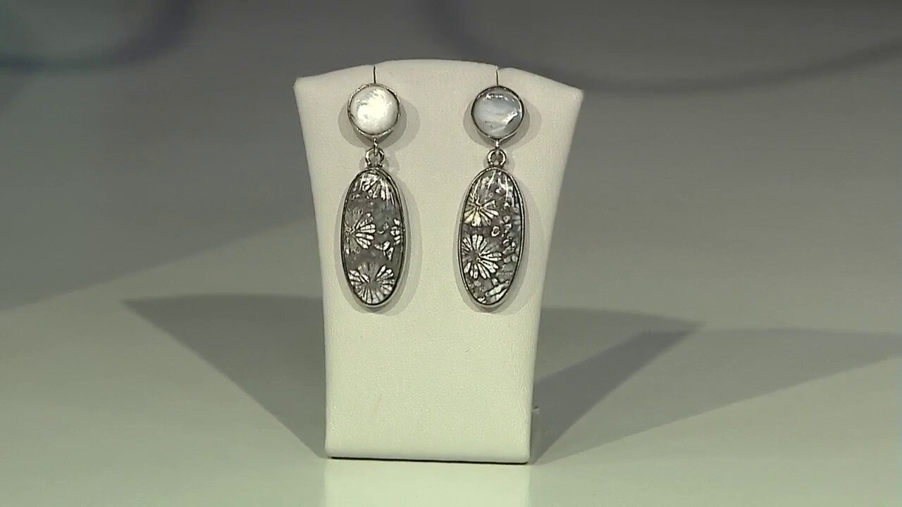 Ver última TV oferta