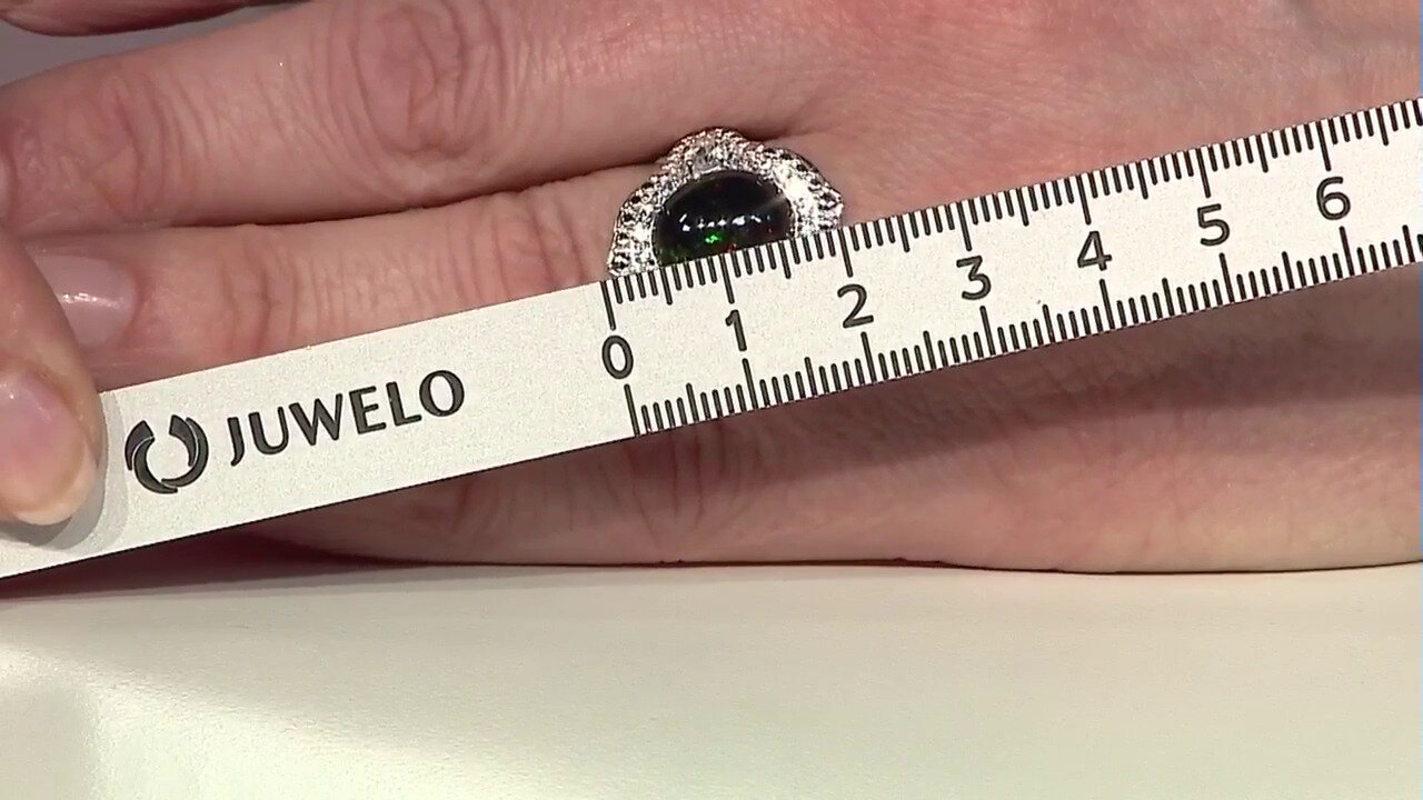 Laatste live aanbiedingen bekijken