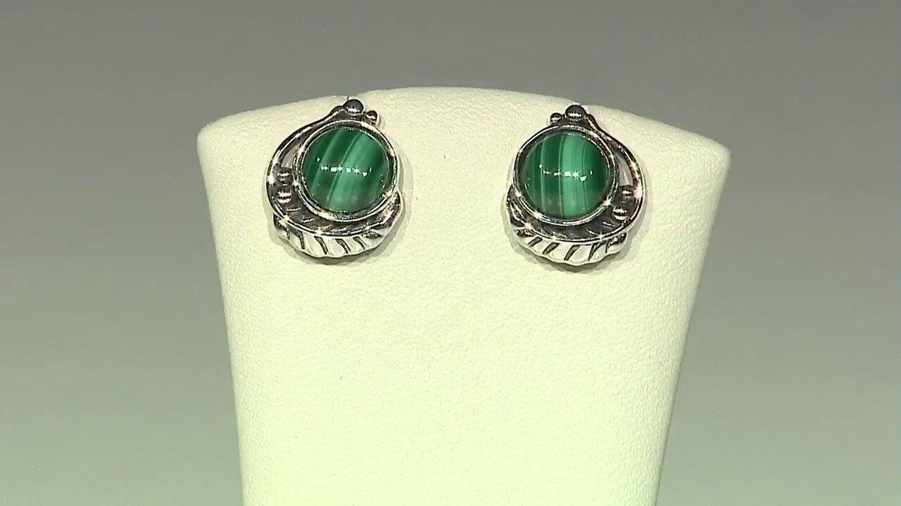 Video Malachite Silver Earrings (Desert Chic)