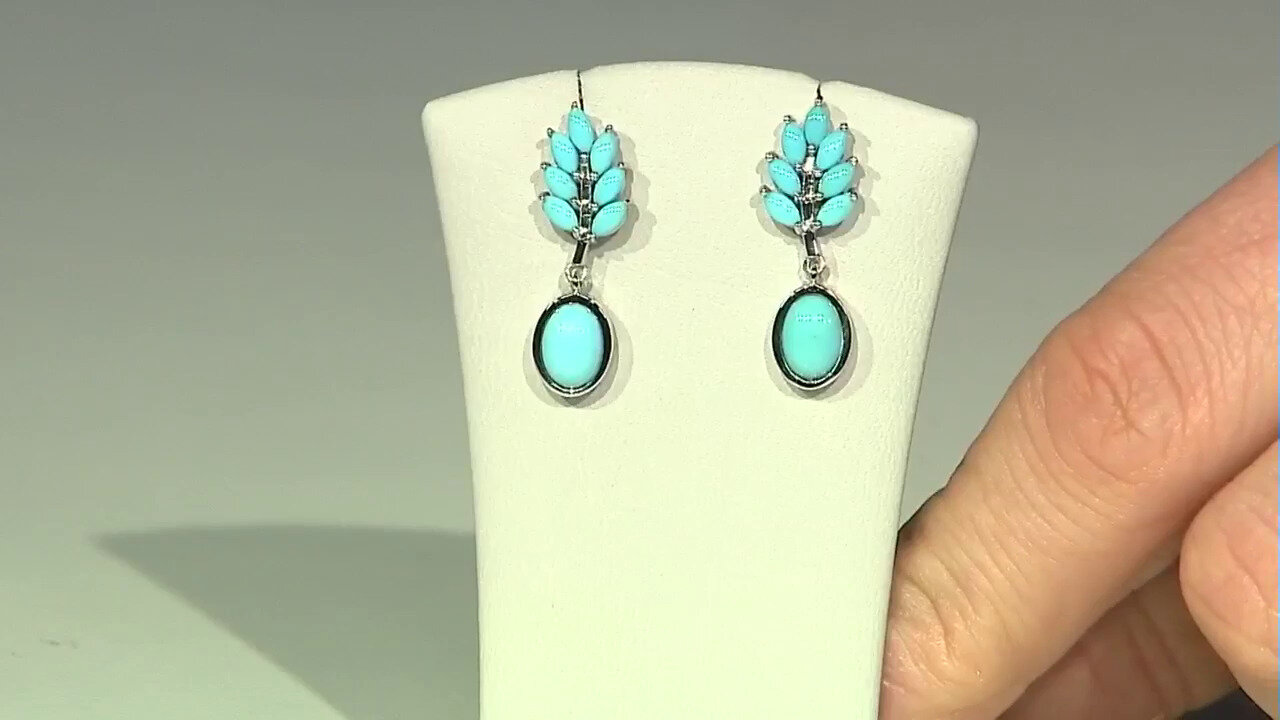 Video Sleeping Beauty Turquoise Silver Earrings