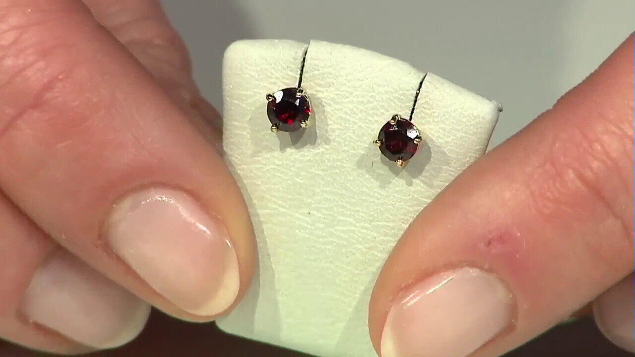 Video Garnet Silver Earrings