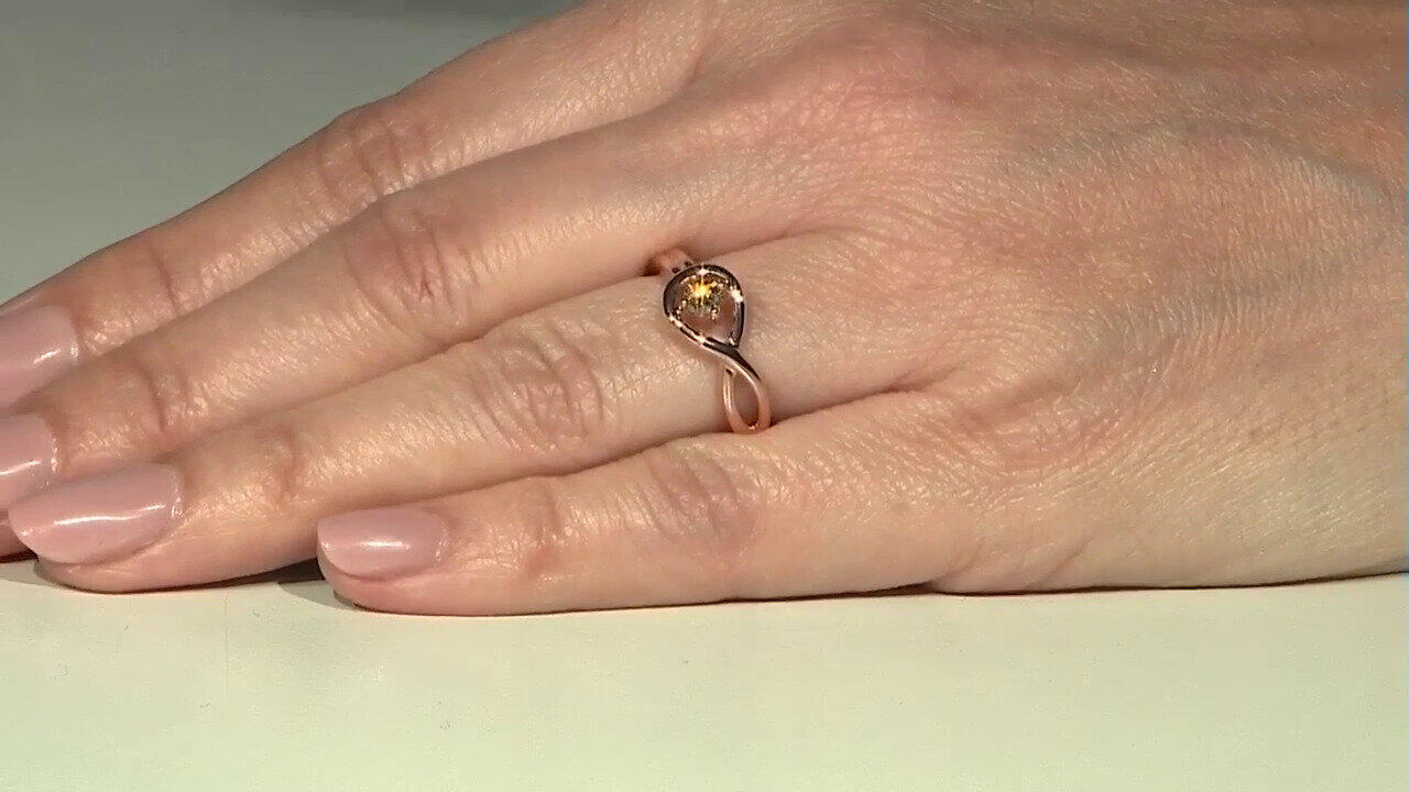 Letzte TV-Show ansehen