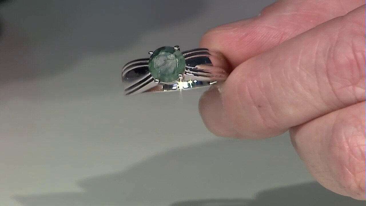 Letzte TV-Show ansehen