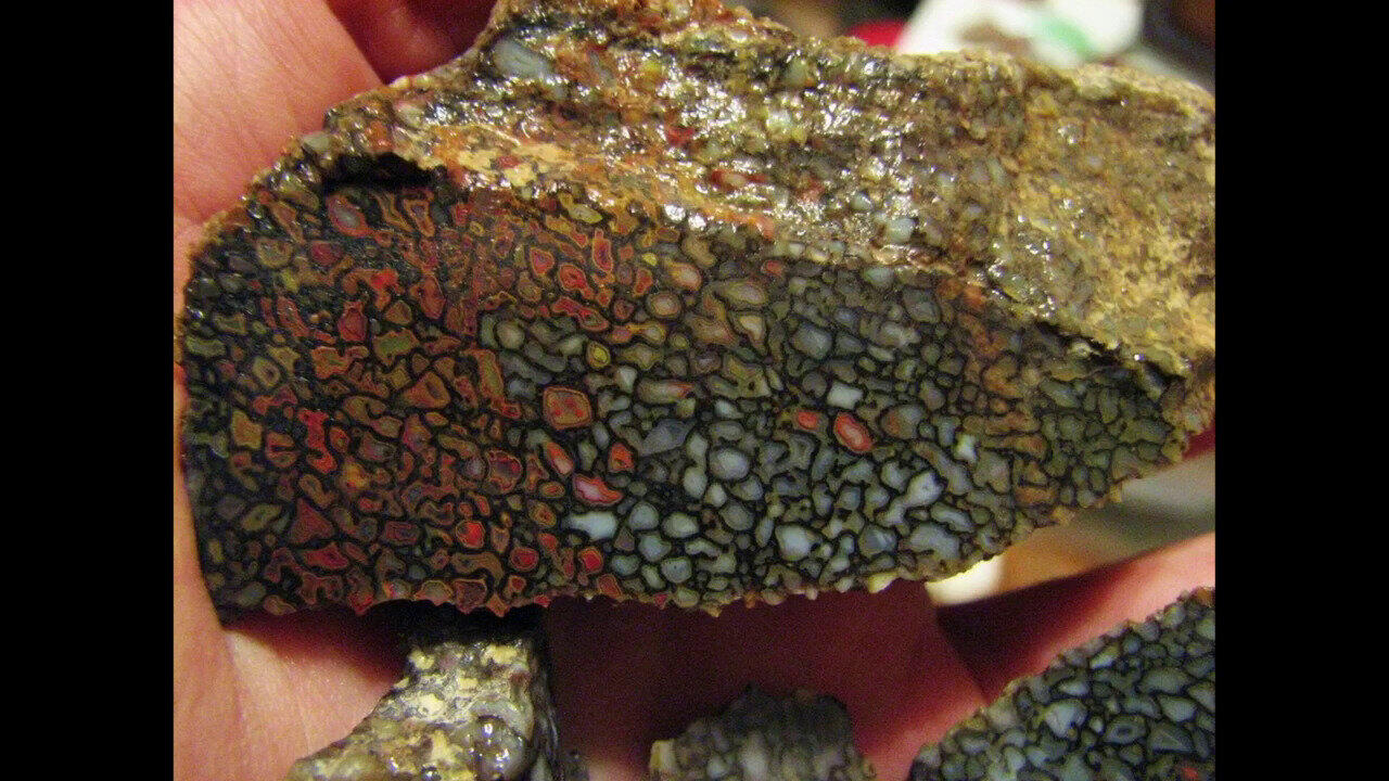 Voir l’enchère du bijou