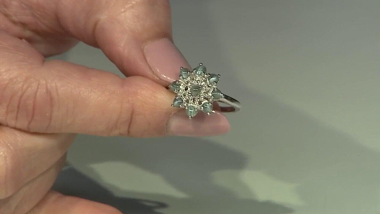 Letzte TV-Show ansehen