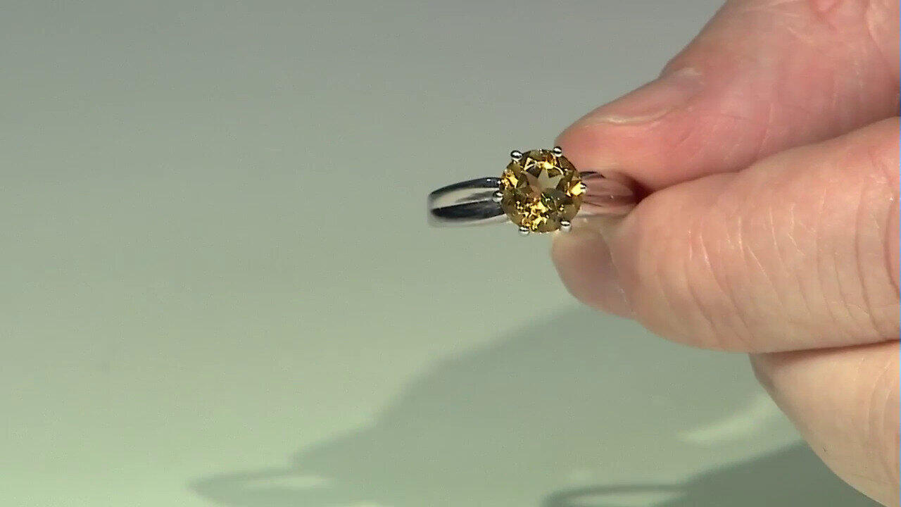 Letzte TV-Show ansehen