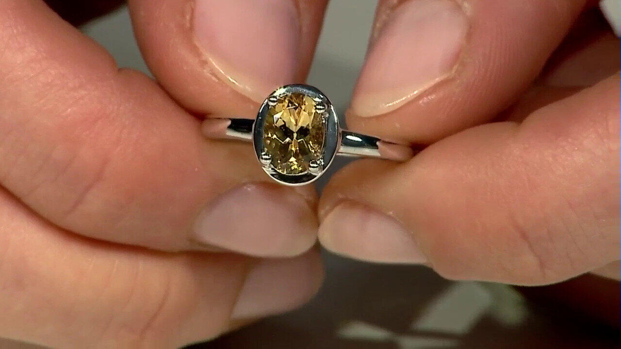 Letzte TV-Show ansehen