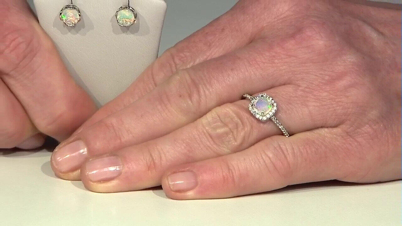 Letzte TV-Show ansehen