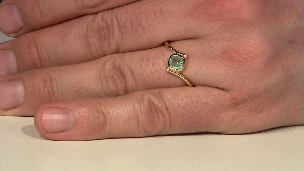 Letzte TV-Show ansehen