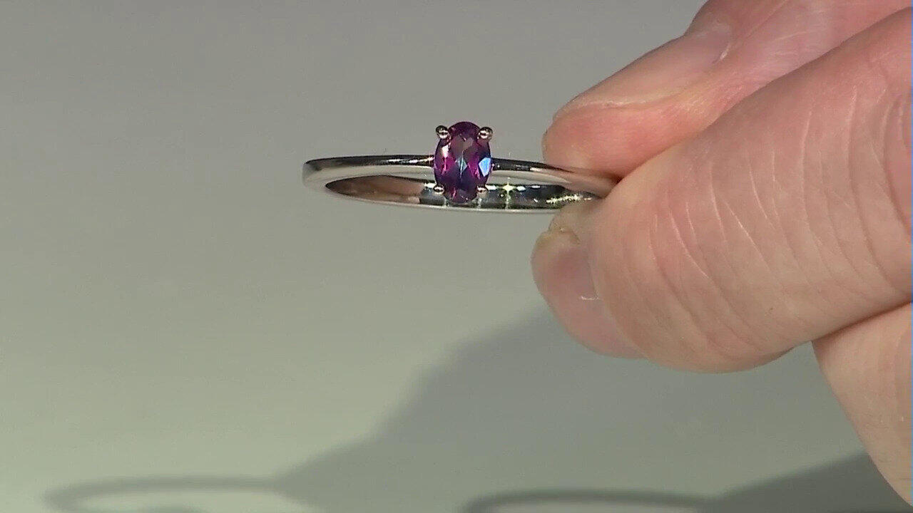 Letzte TV-Show ansehen