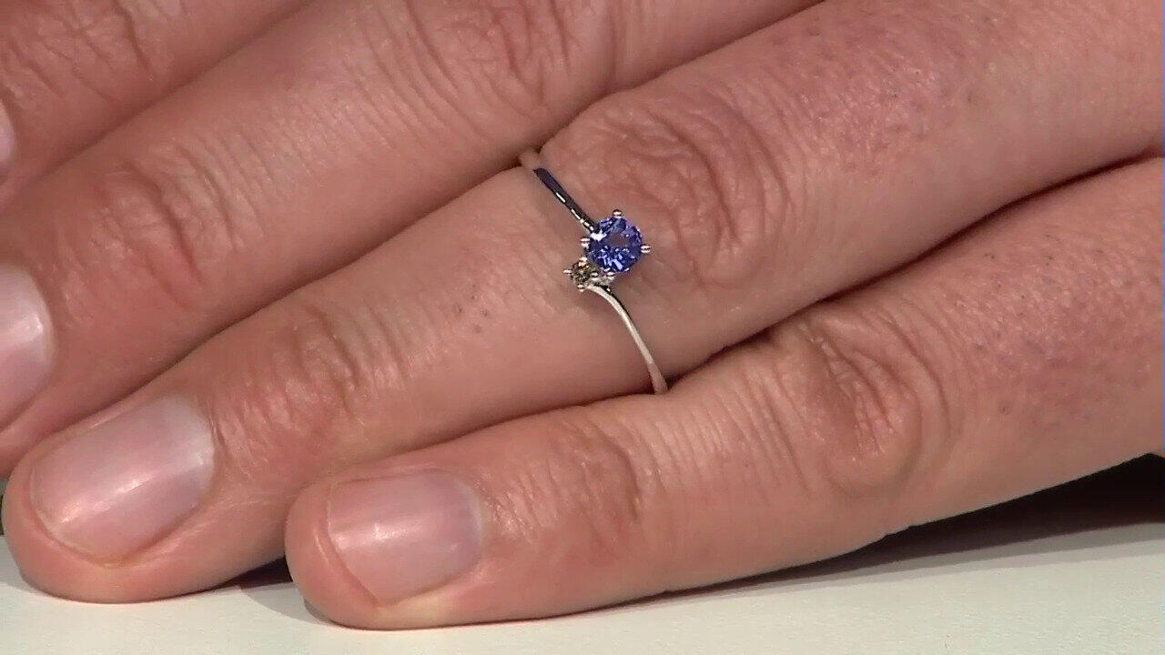 Laatste live aanbiedingen bekijken