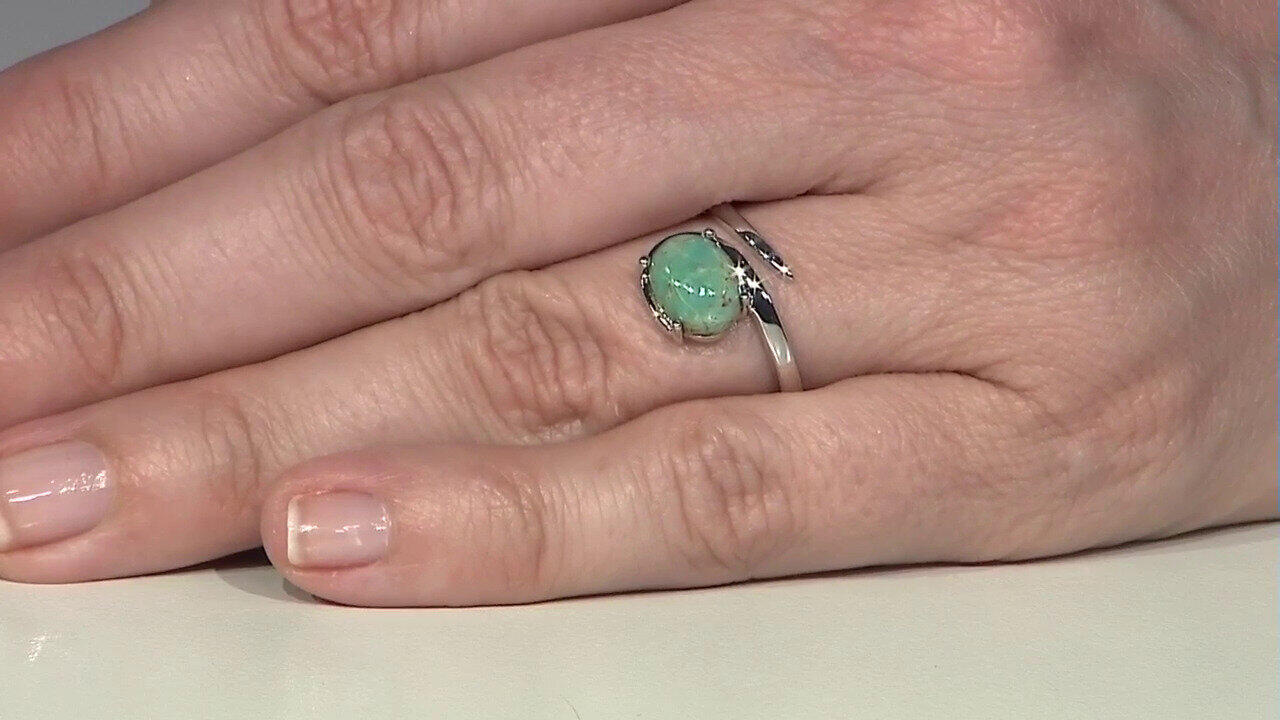 Letzte TV-Show ansehen