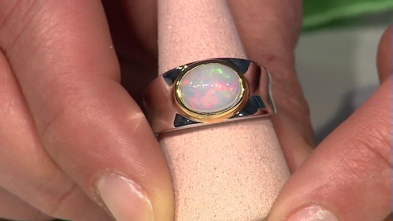 Laatste live aanbiedingen bekijken