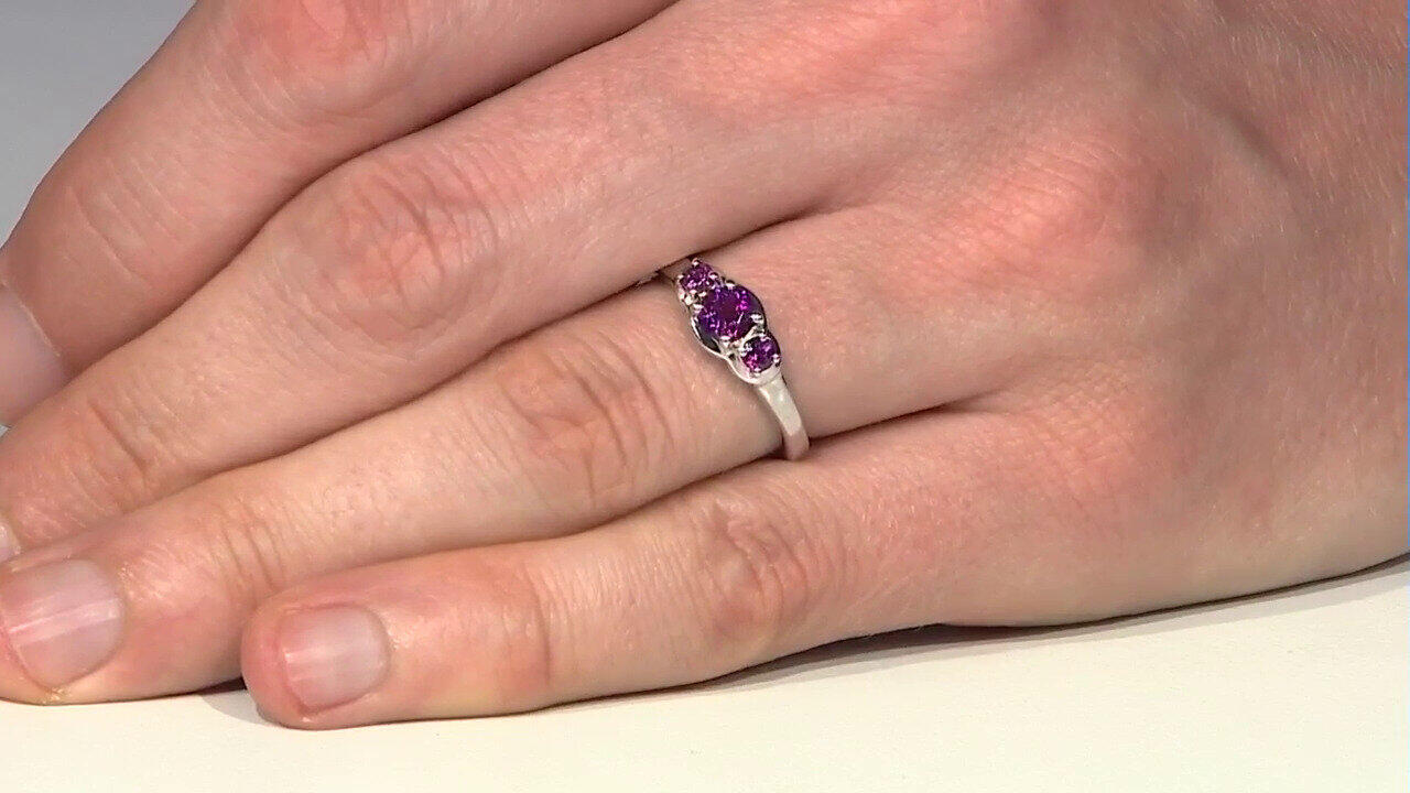 Letzte TV-Show ansehen