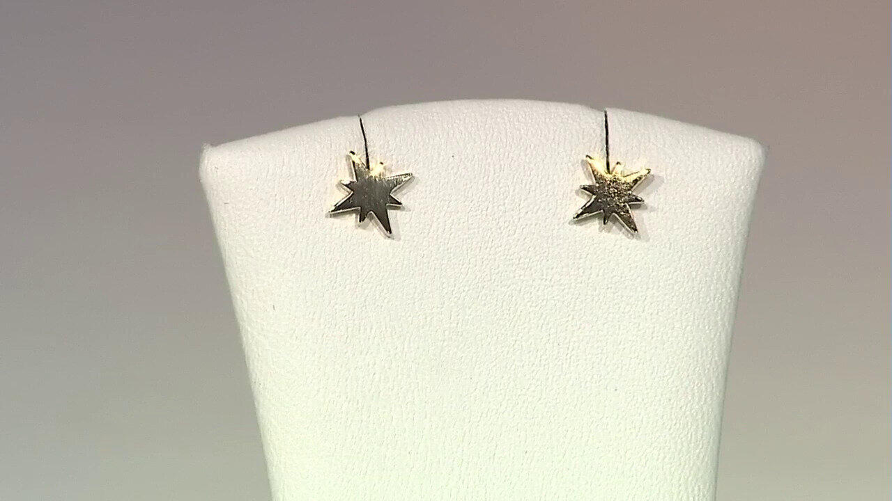 Video Zilveren oorbellen