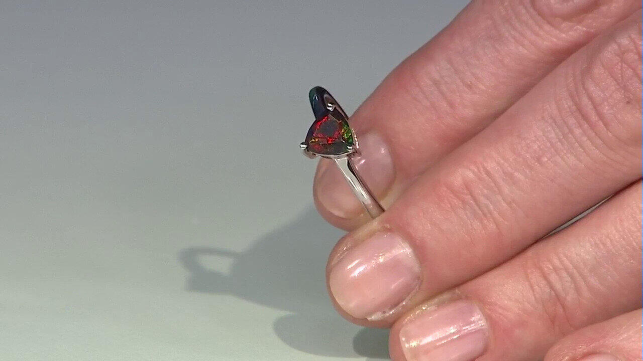 Letzte TV-Show ansehen