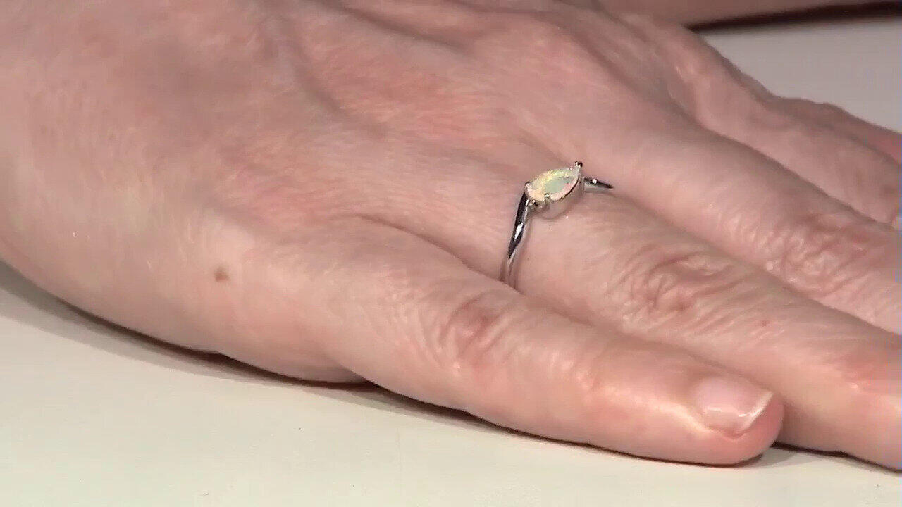 Letzte TV-Show ansehen