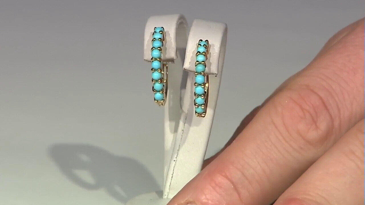 Video Pendientes en plata con Turquesa bella durmiente