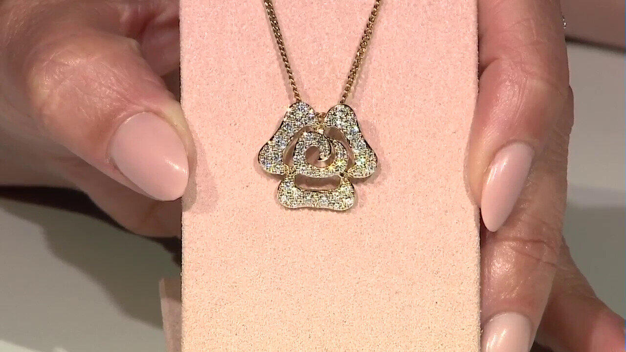 Video SI1 (G) Brillant-Goldring (Annette)