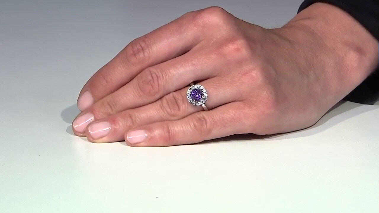 Letzte TV-Show ansehen