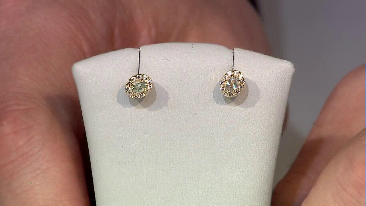 Video Pendientes en plata con Alejandrita