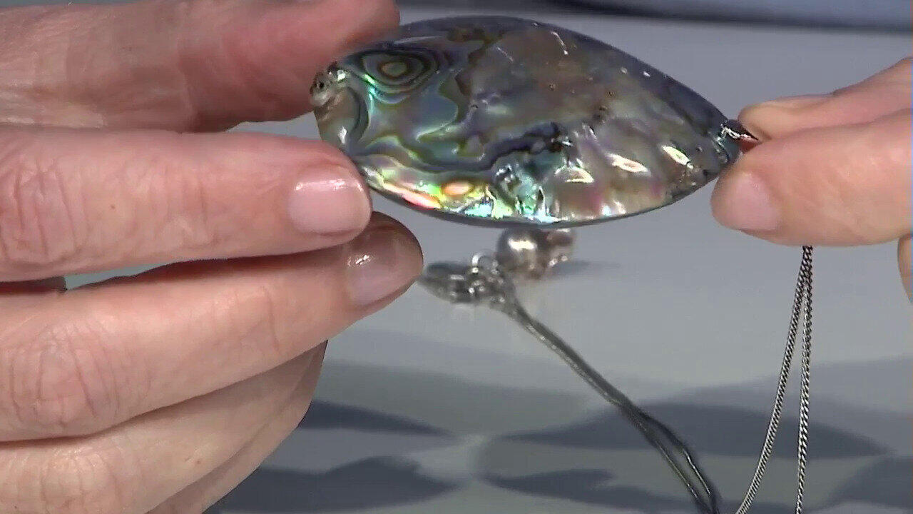 Video Zilveren hanger met een Abalone schelp
