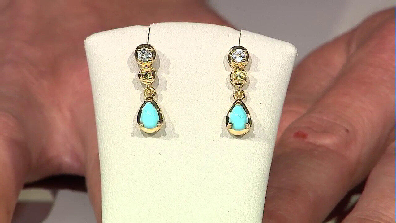 Video Pendientes en plata con Turquesa bella durmiente