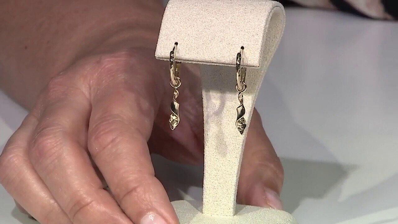 Video Orecchini in argento