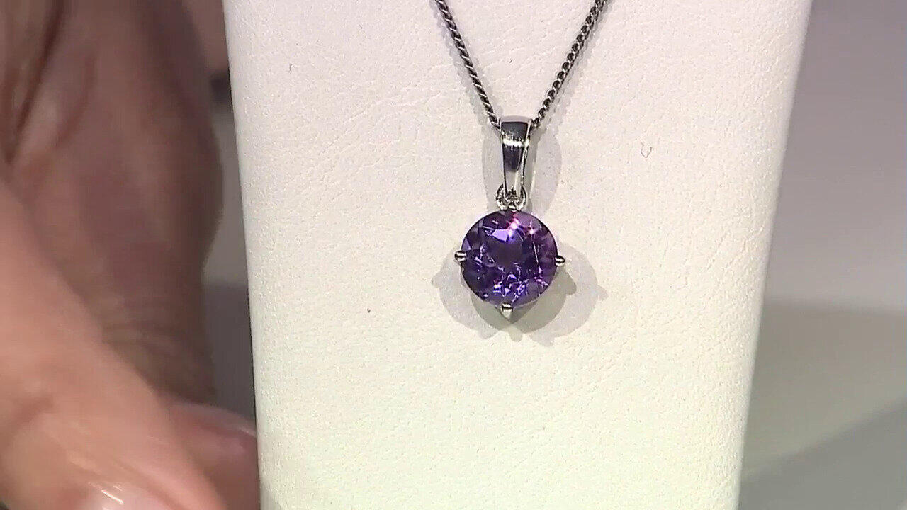 Ver última TV oferta