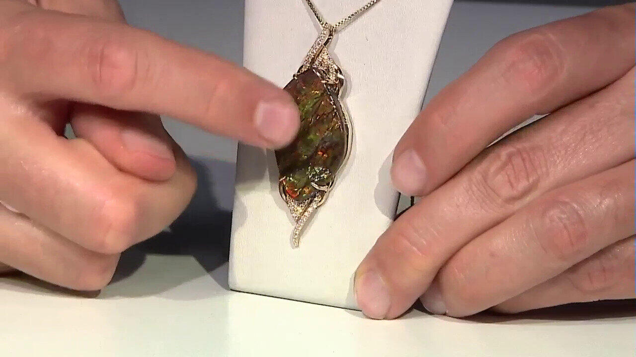 Video Gouden hanger met een ammoliet (de Melo)