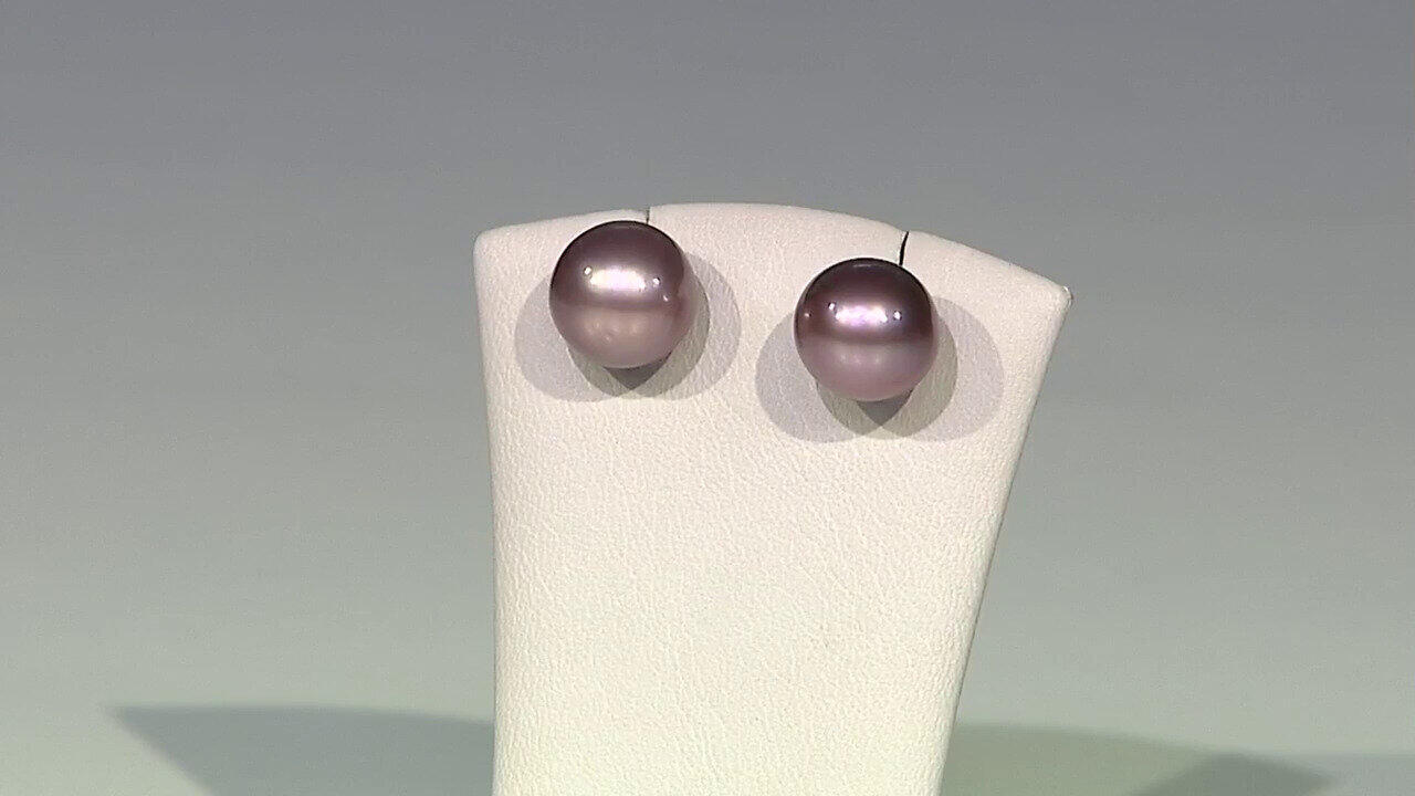 Video Purple Ming Pearl Silver Earrings (TPC)