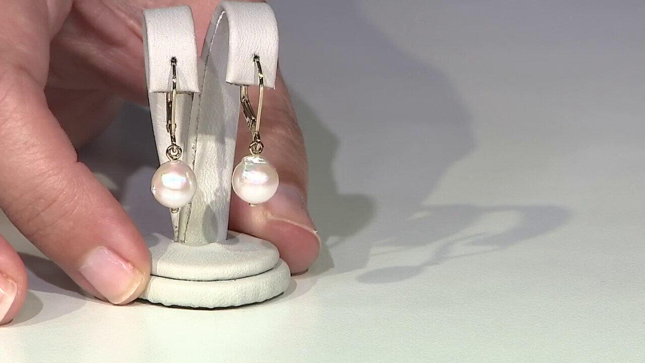 Video Akoya Pearl Silver Earrings (TPC)