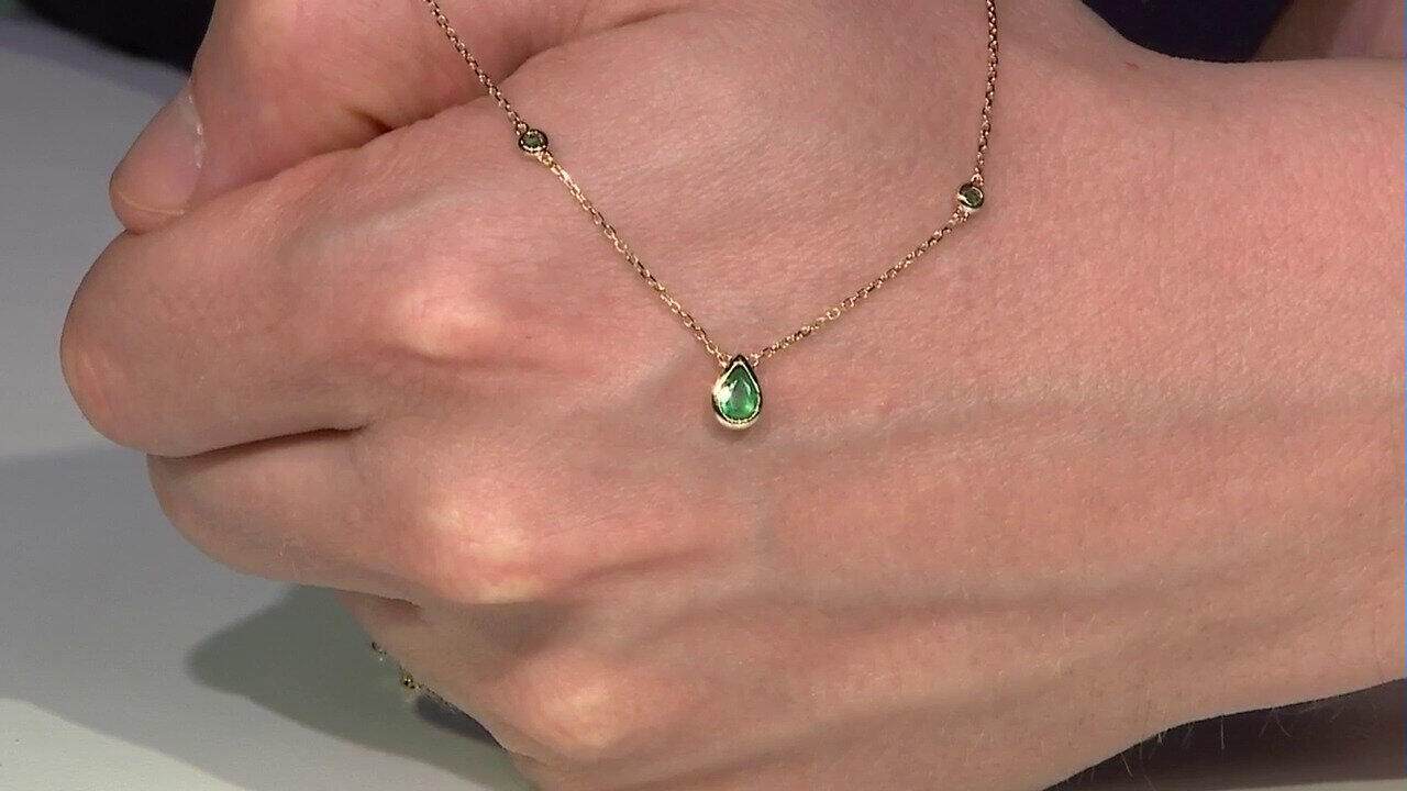 Video I1 (H) Brillant-Goldring (CIRARI)