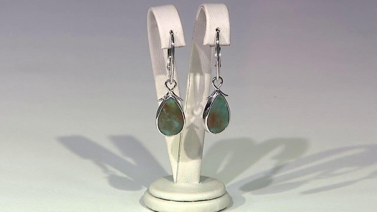 Video Boucles d'oreilles en argent et Bois pétrifié opalisé (Bali Barong)