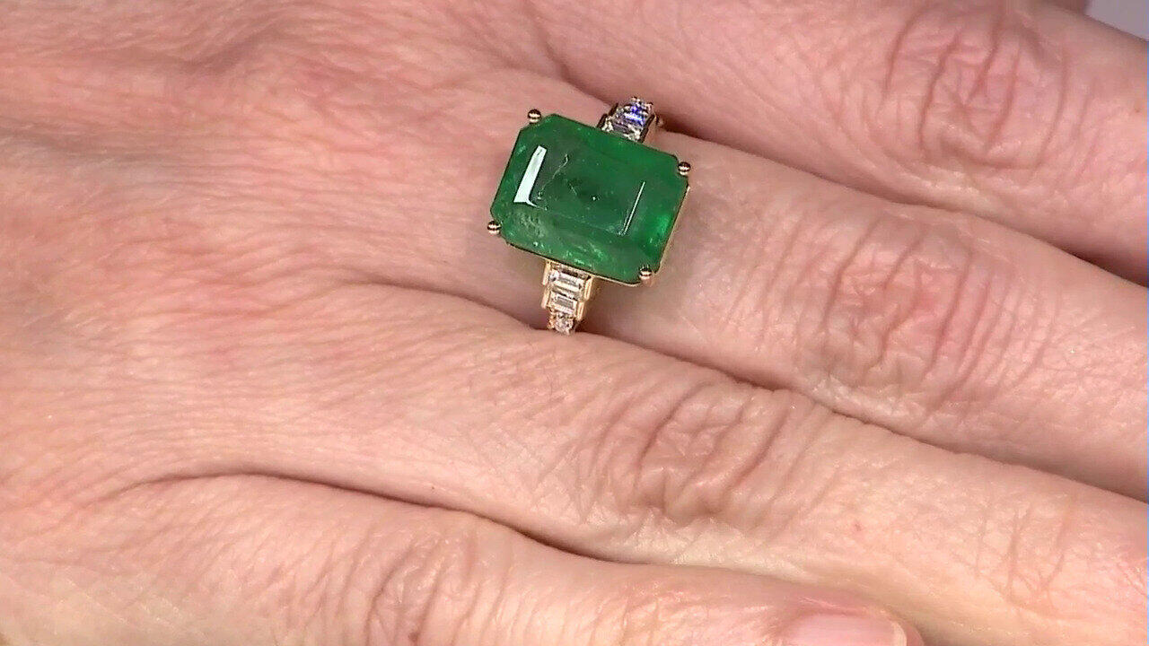 Letzte TV-Show ansehen