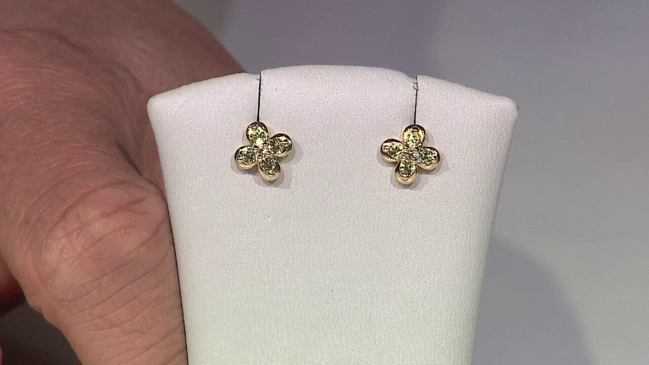 Video Orecchini in argento con Peridoto della Birmania