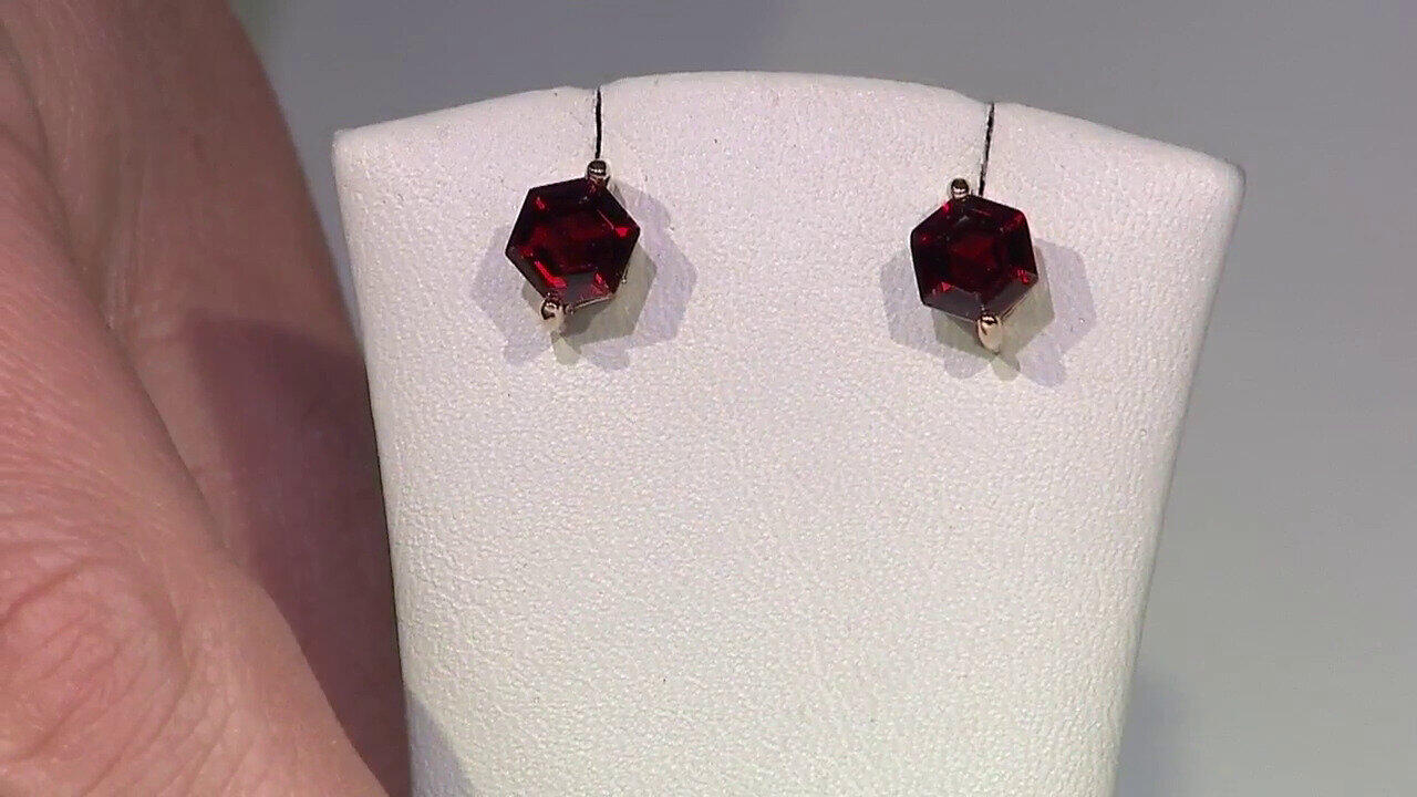 Video Garnet Silver Earrings