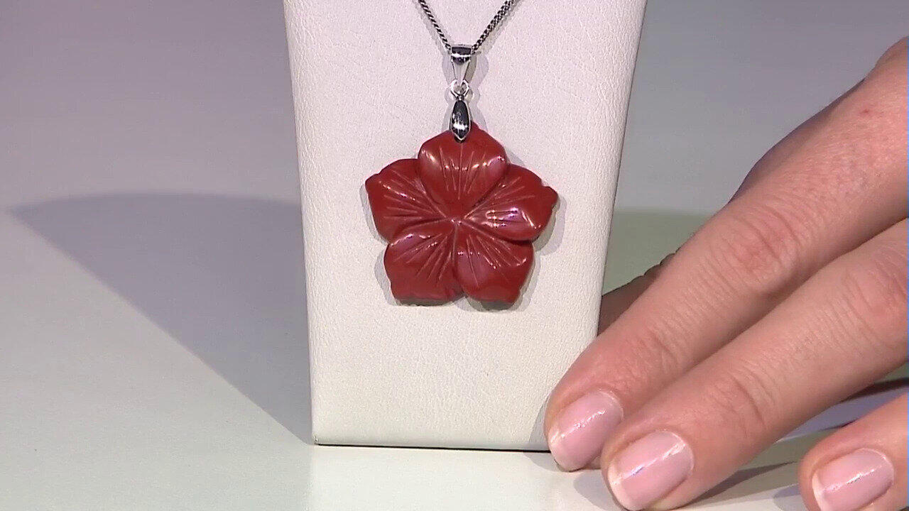 Letzte TV-Show ansehen