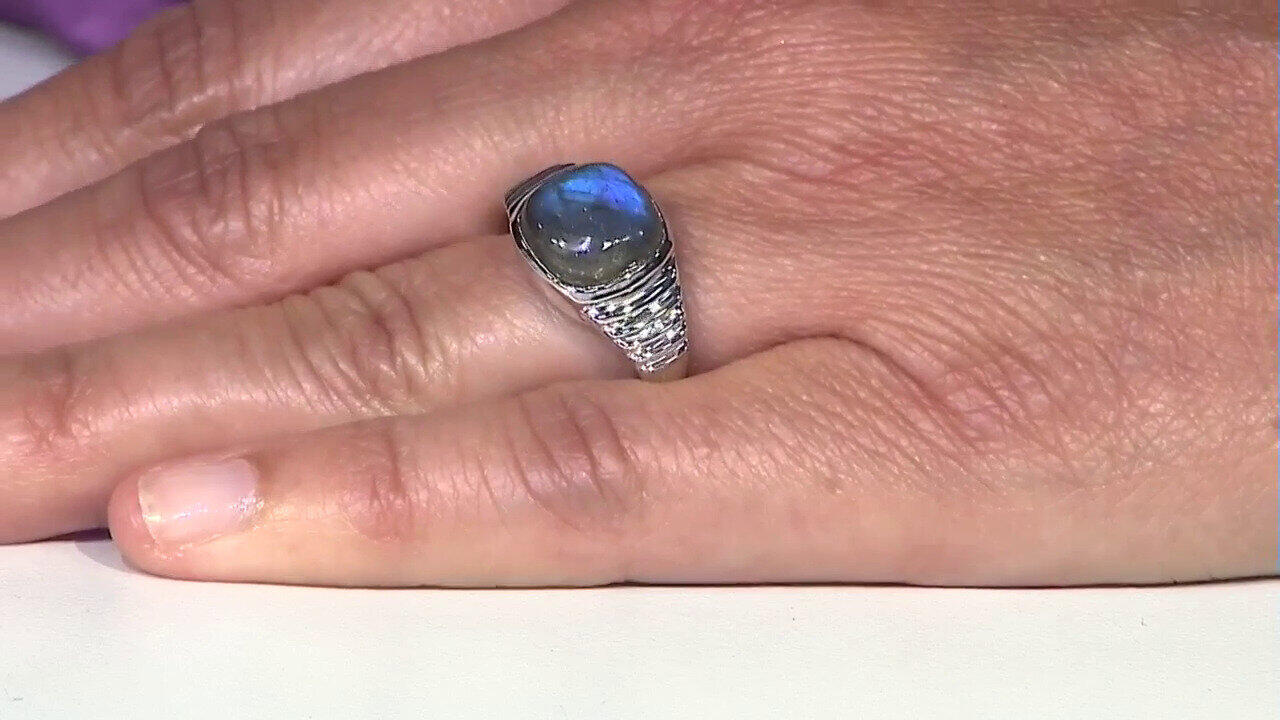 Letzte TV-Show ansehen