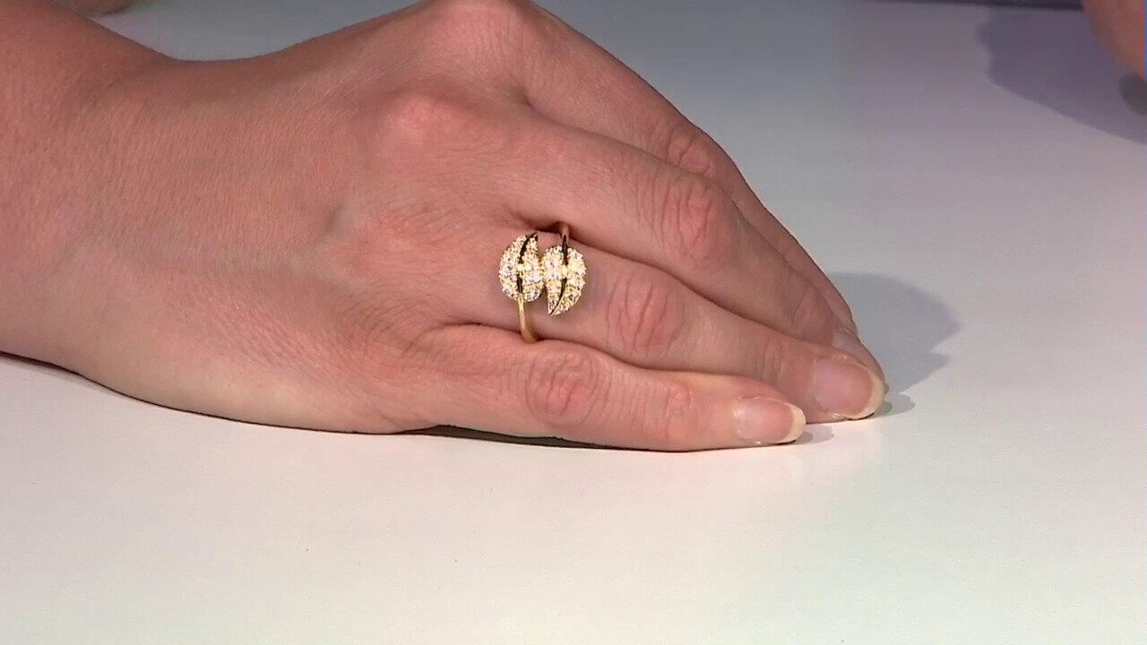 Letzte TV-Show ansehen